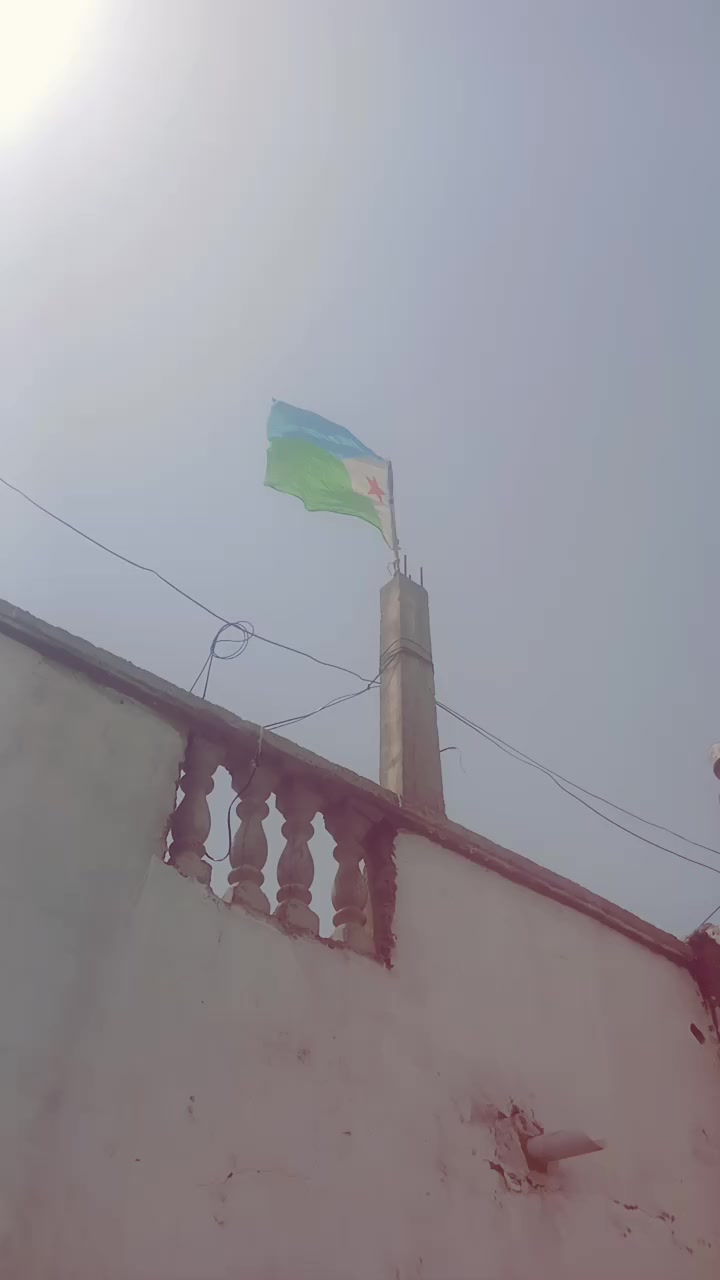 @Love birds somali A ~H