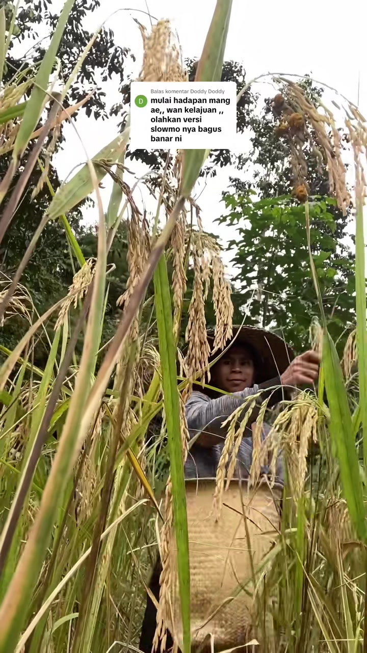 @ORANG TAKAHIGA✅