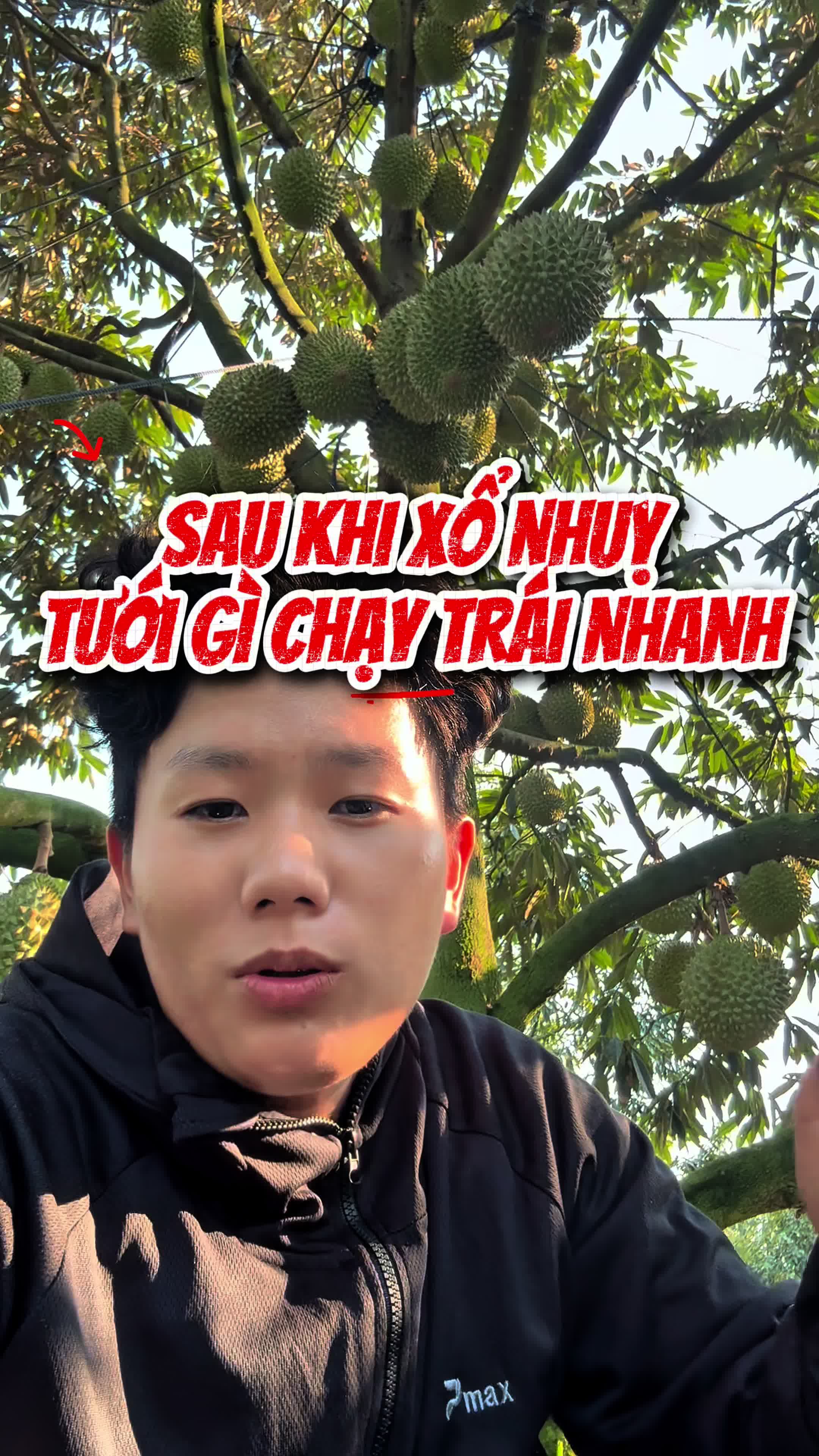 @Hưng Farm - Store