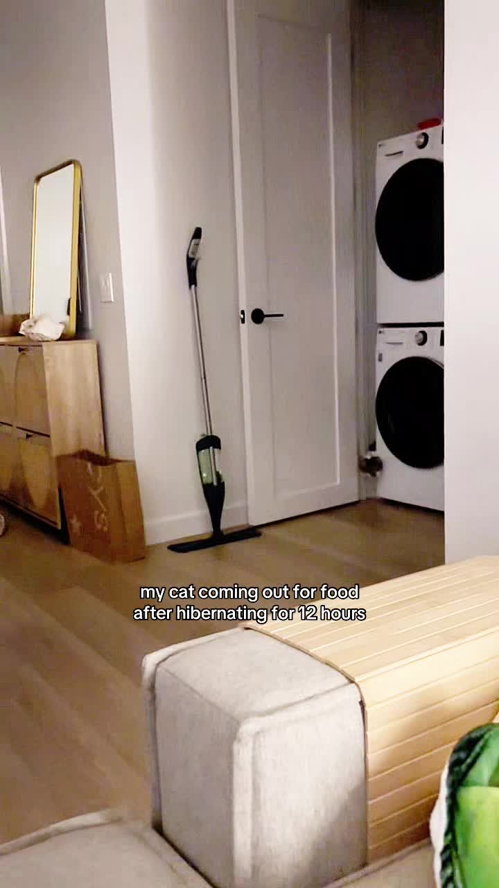 @Suki Purrs