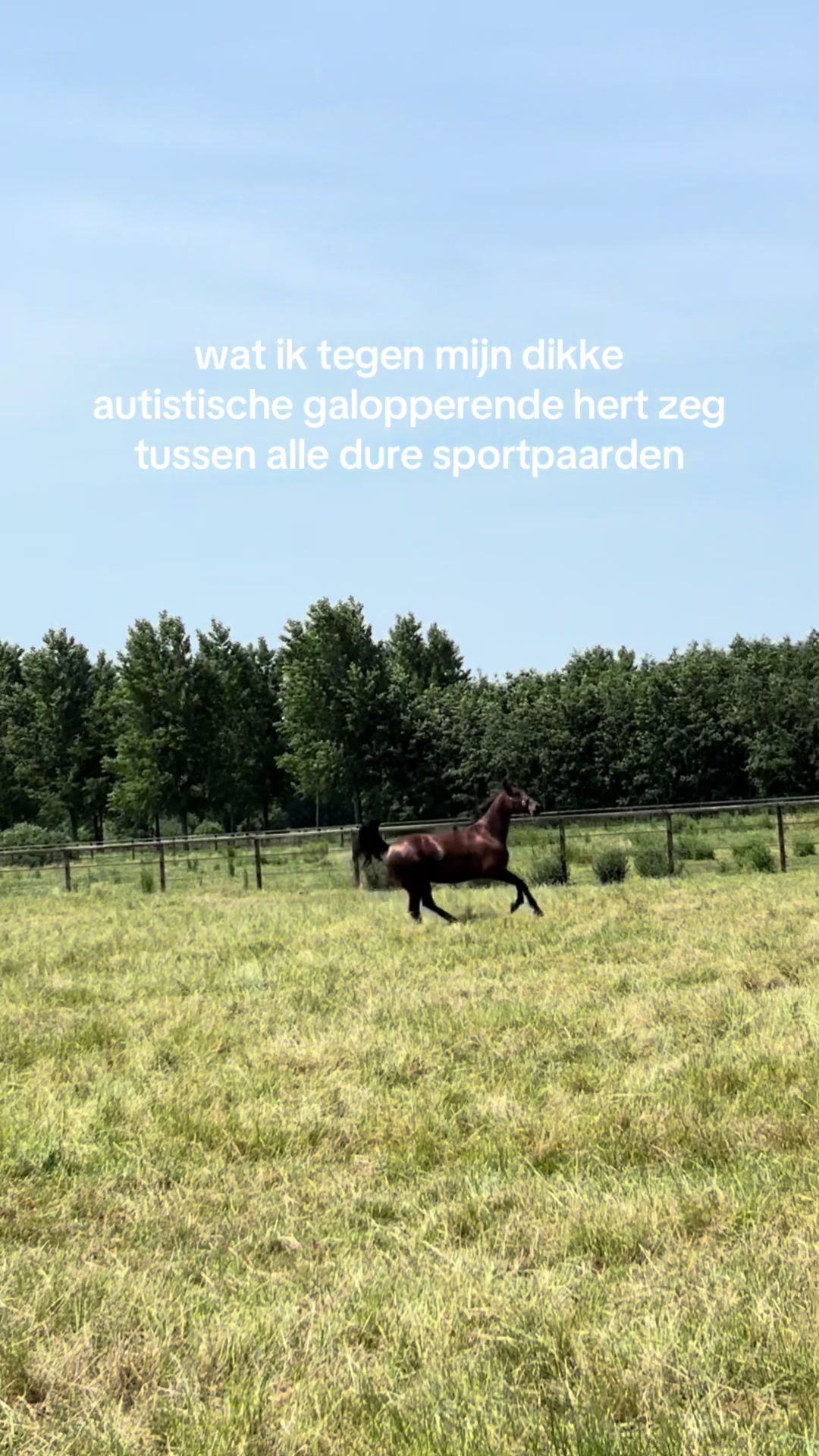@equinikola