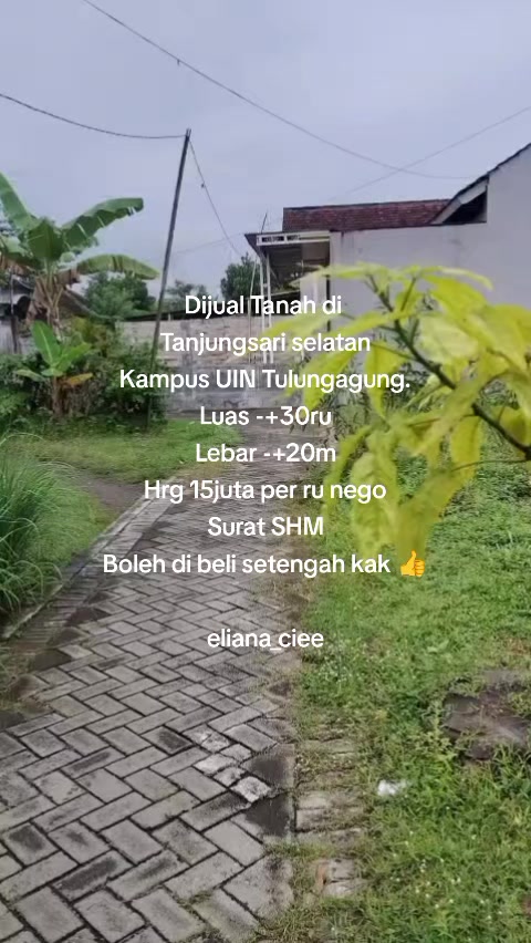 @eliana