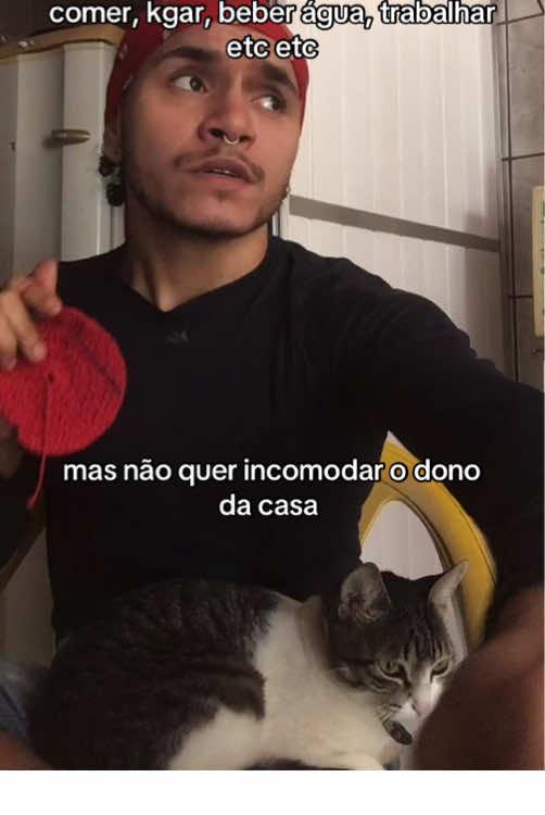 @Felipe Castro