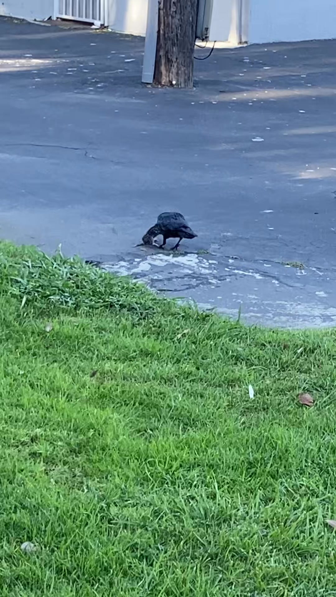 @Jamie#1