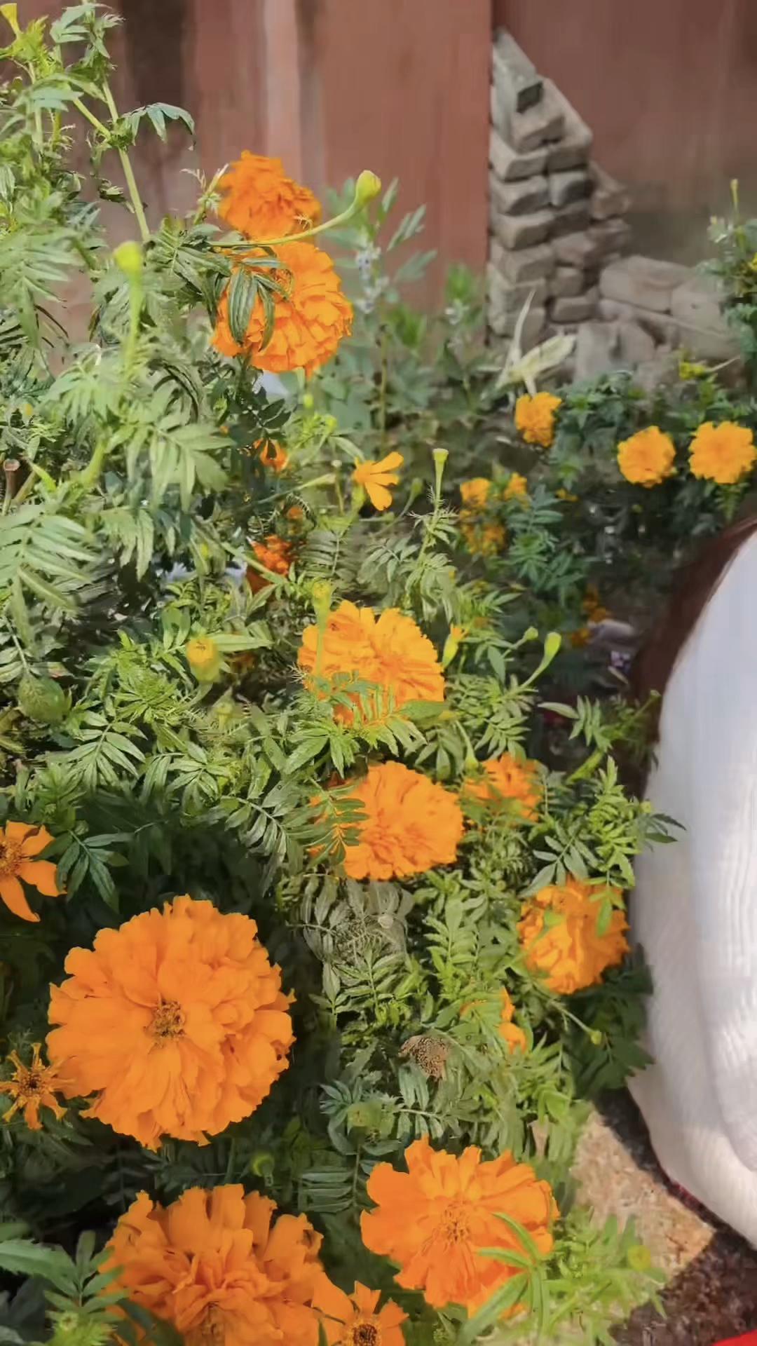 @durgapandey071