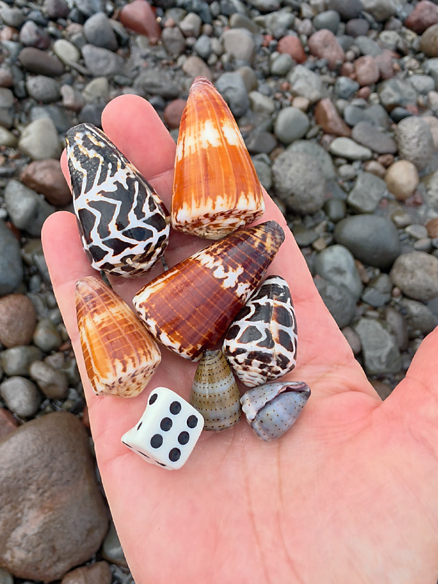 @Noe ๐ Shells