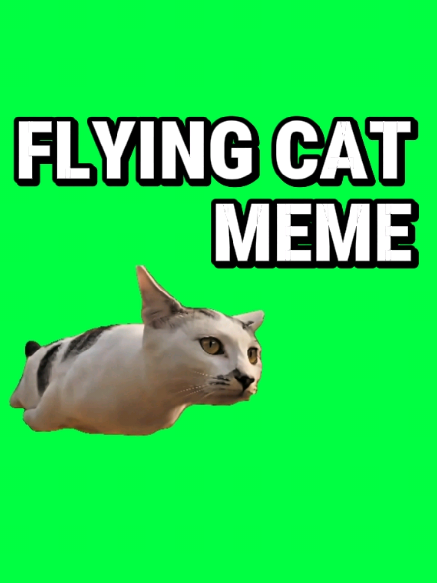 @MemeScreens