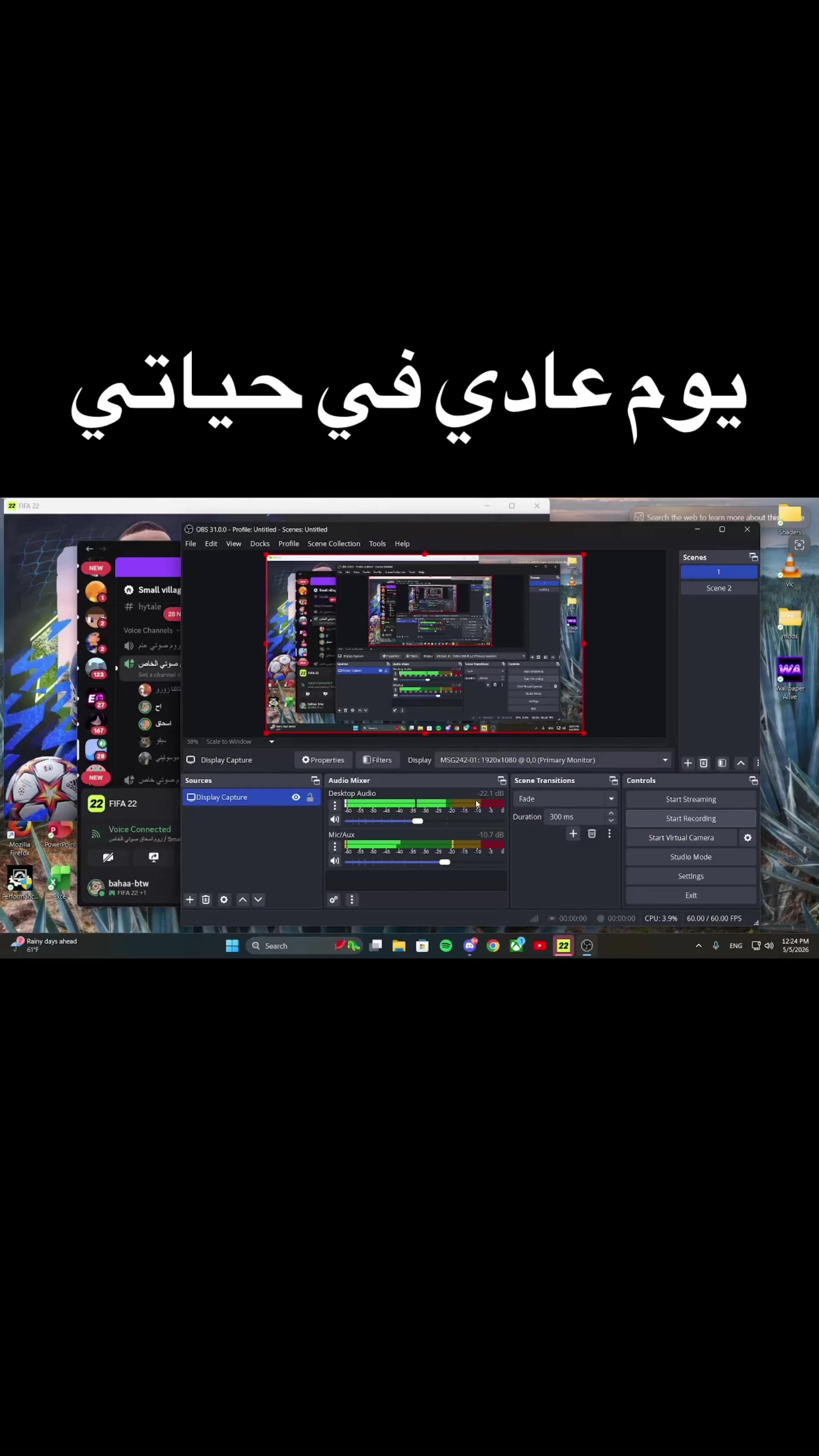 @senior_el_gato