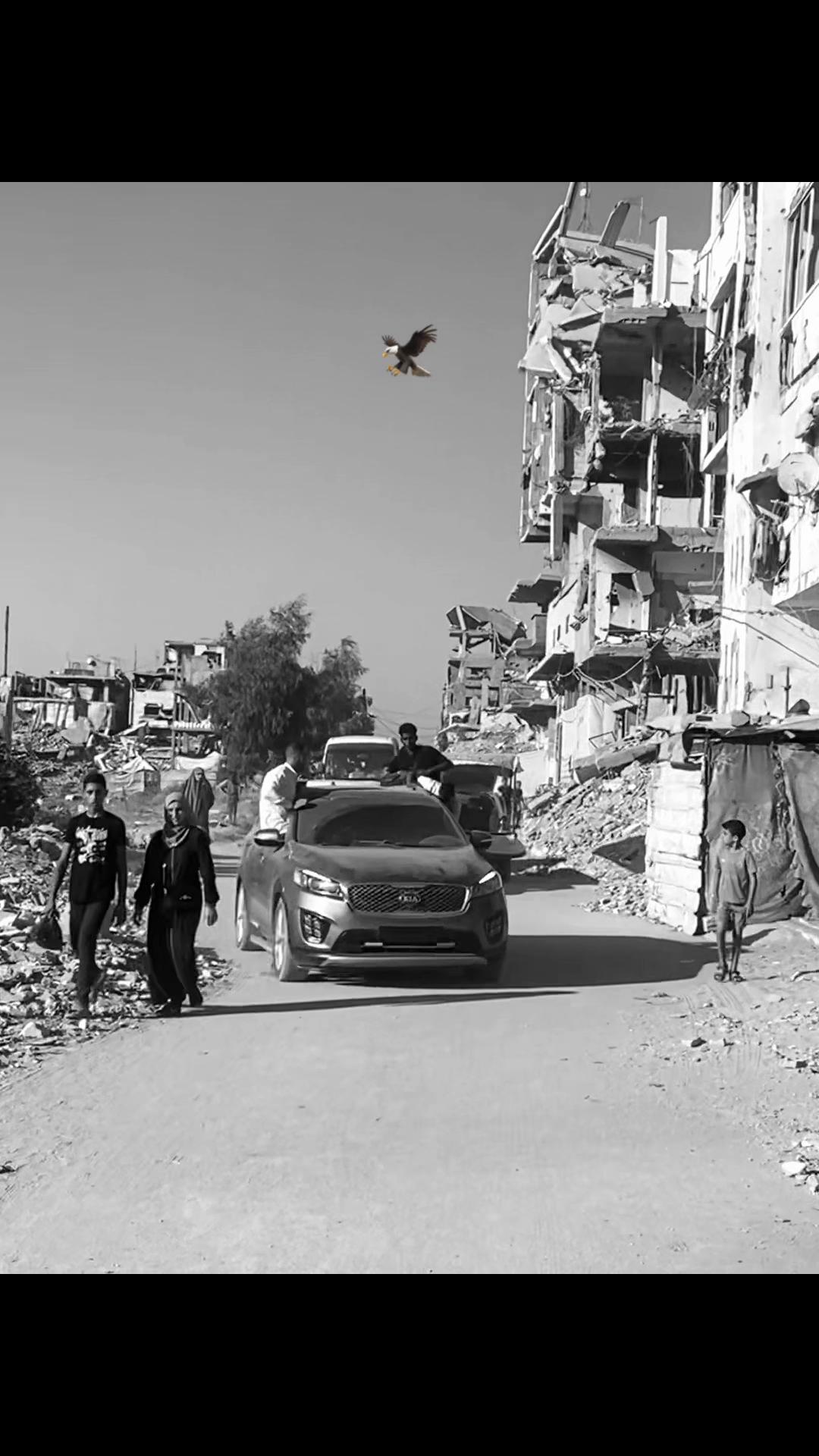 @Karam El Rabaya