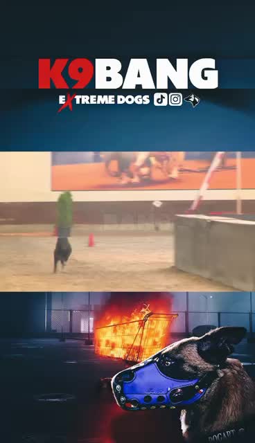 @K9 BANG
