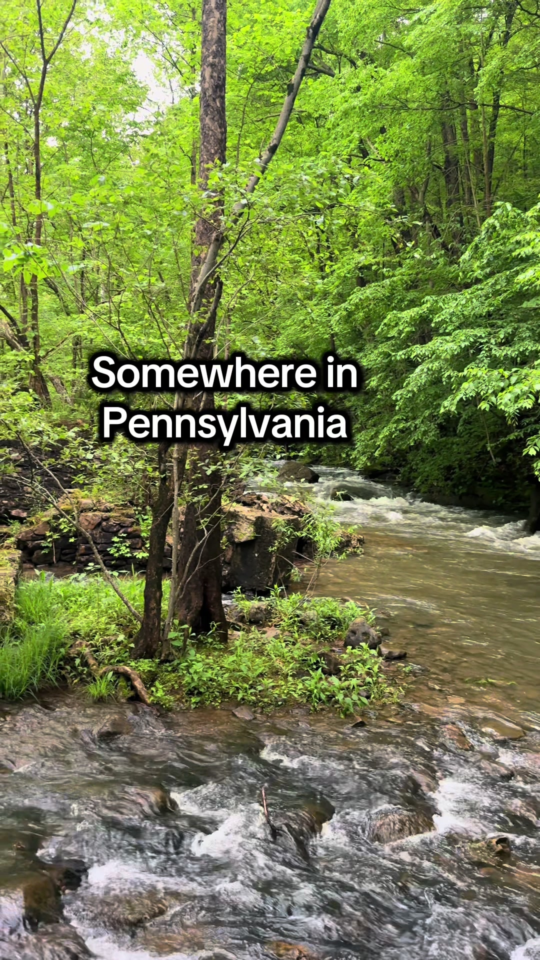 @Harmony | Somewhere in PA