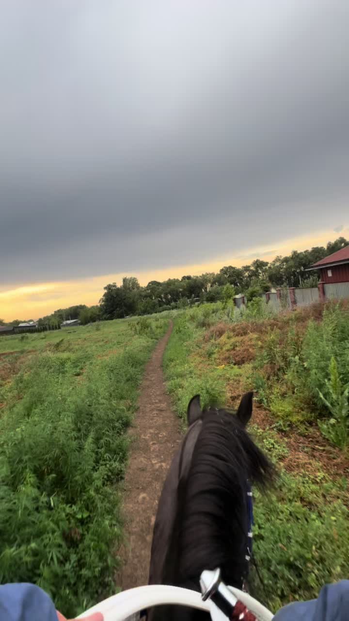 @🐎Ева🐎
