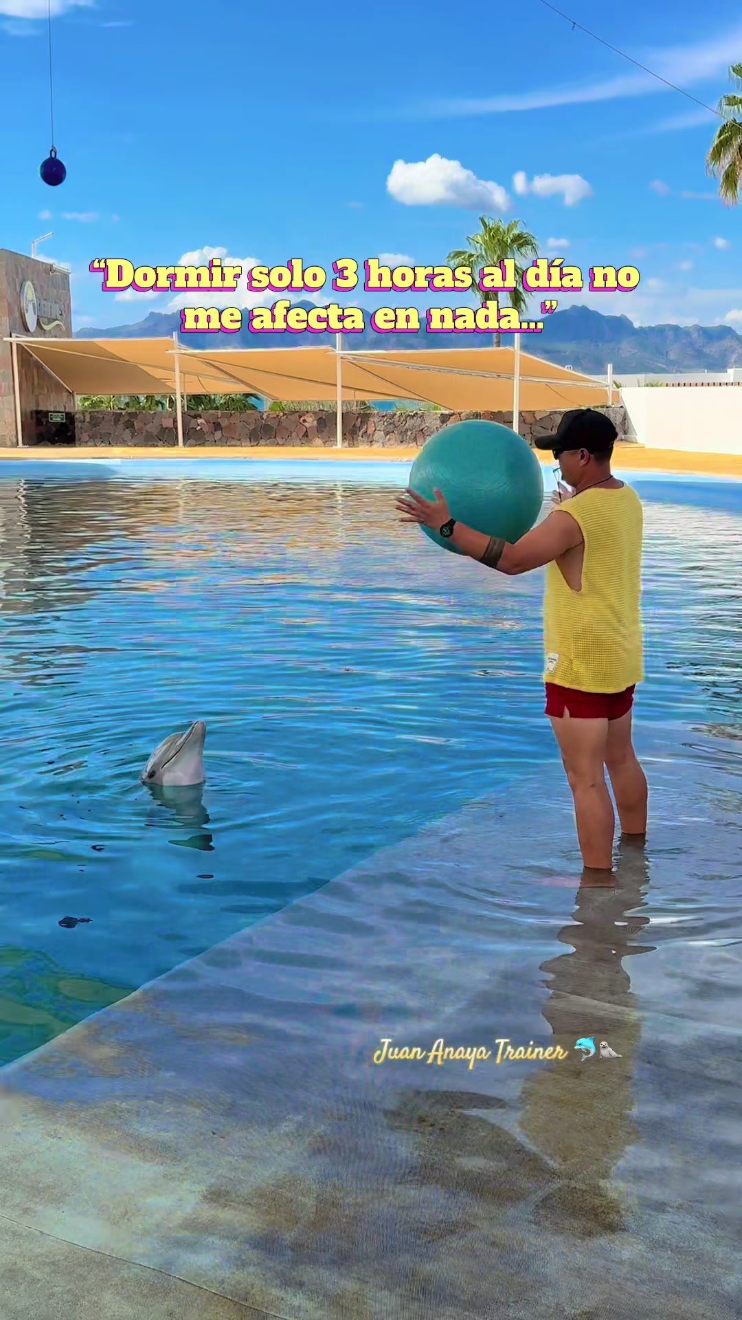 @Juan Anaya Trainer 🐬🦭