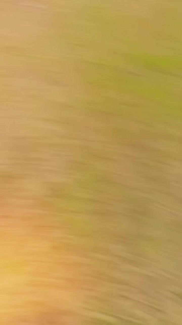 @🌹ملک تنزیل🌹