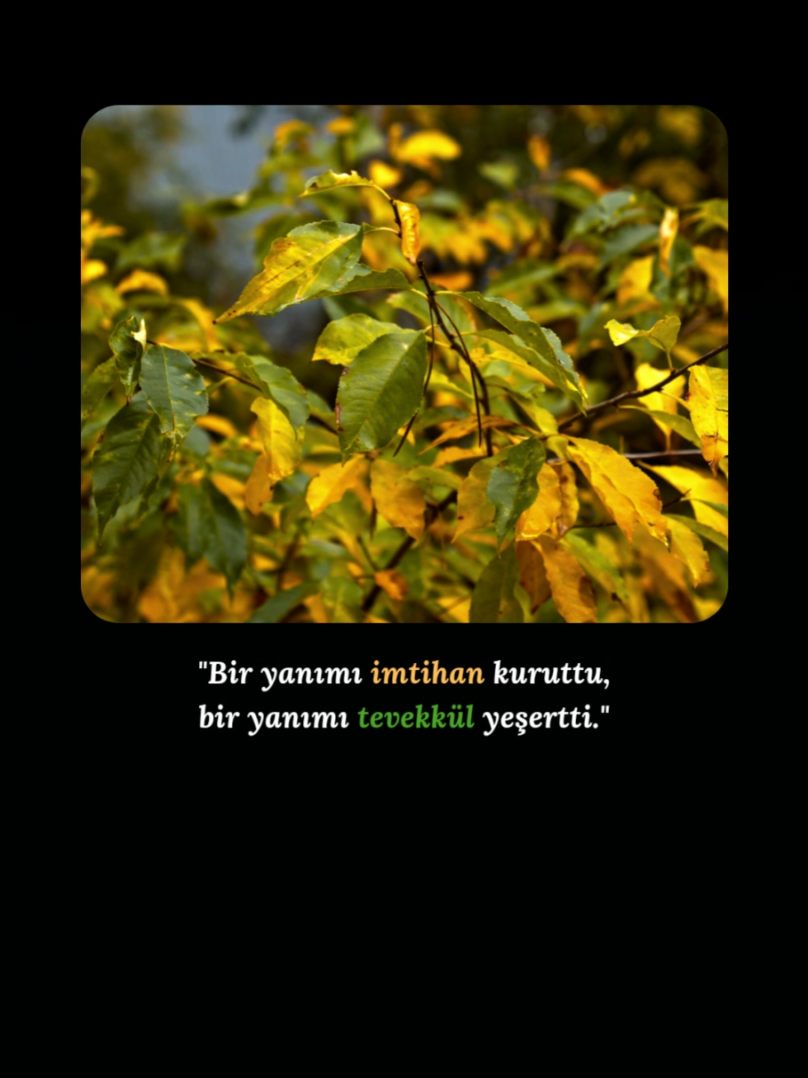 @ᴅᴜᴀ ᴅɪ̇ʏᴀʀɪᴍ