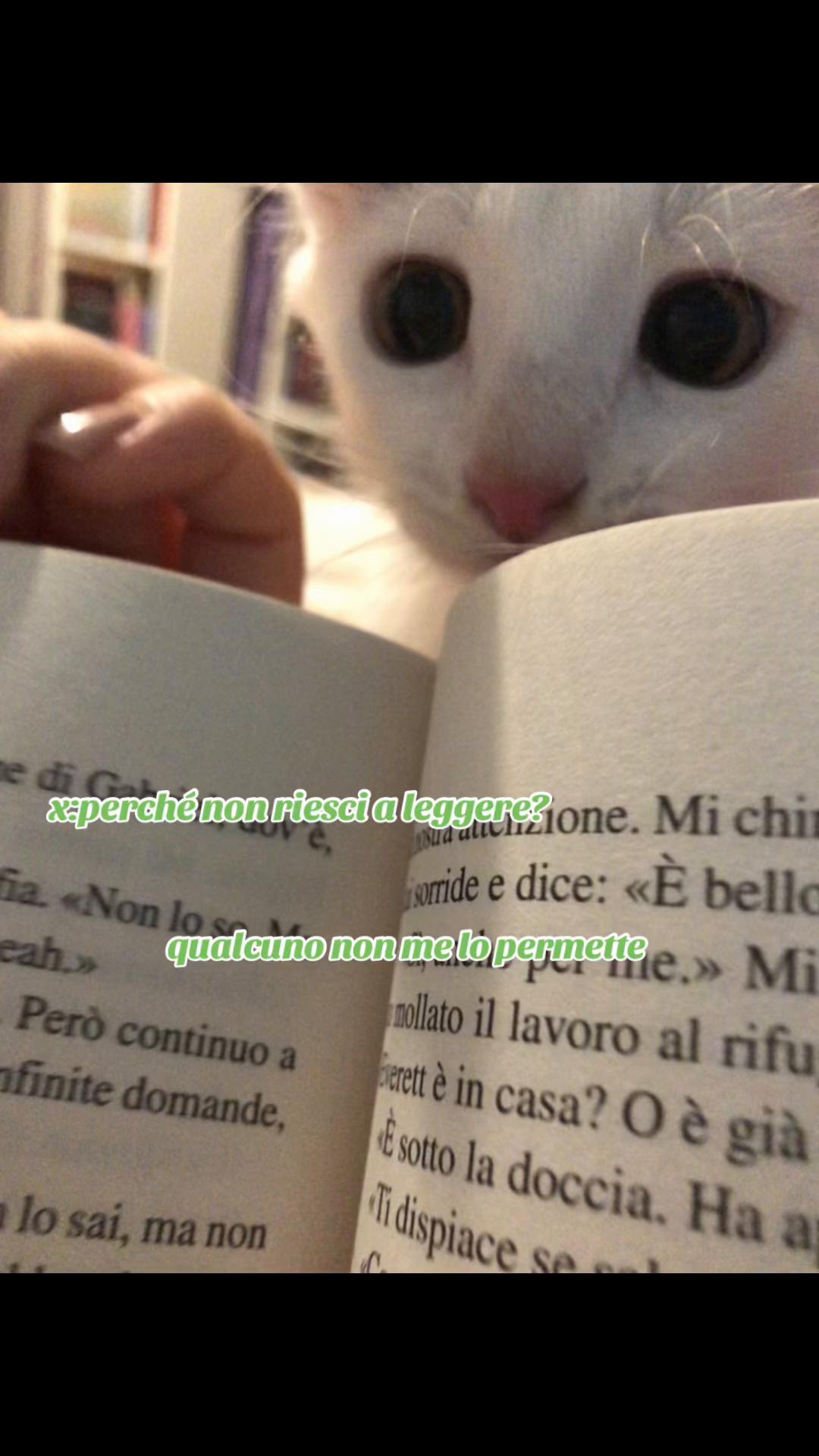 @isa(kira's version)