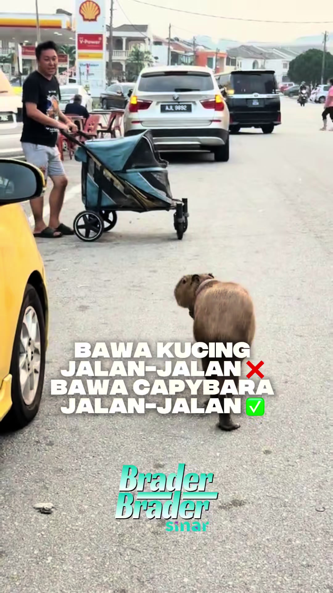 @SINAR