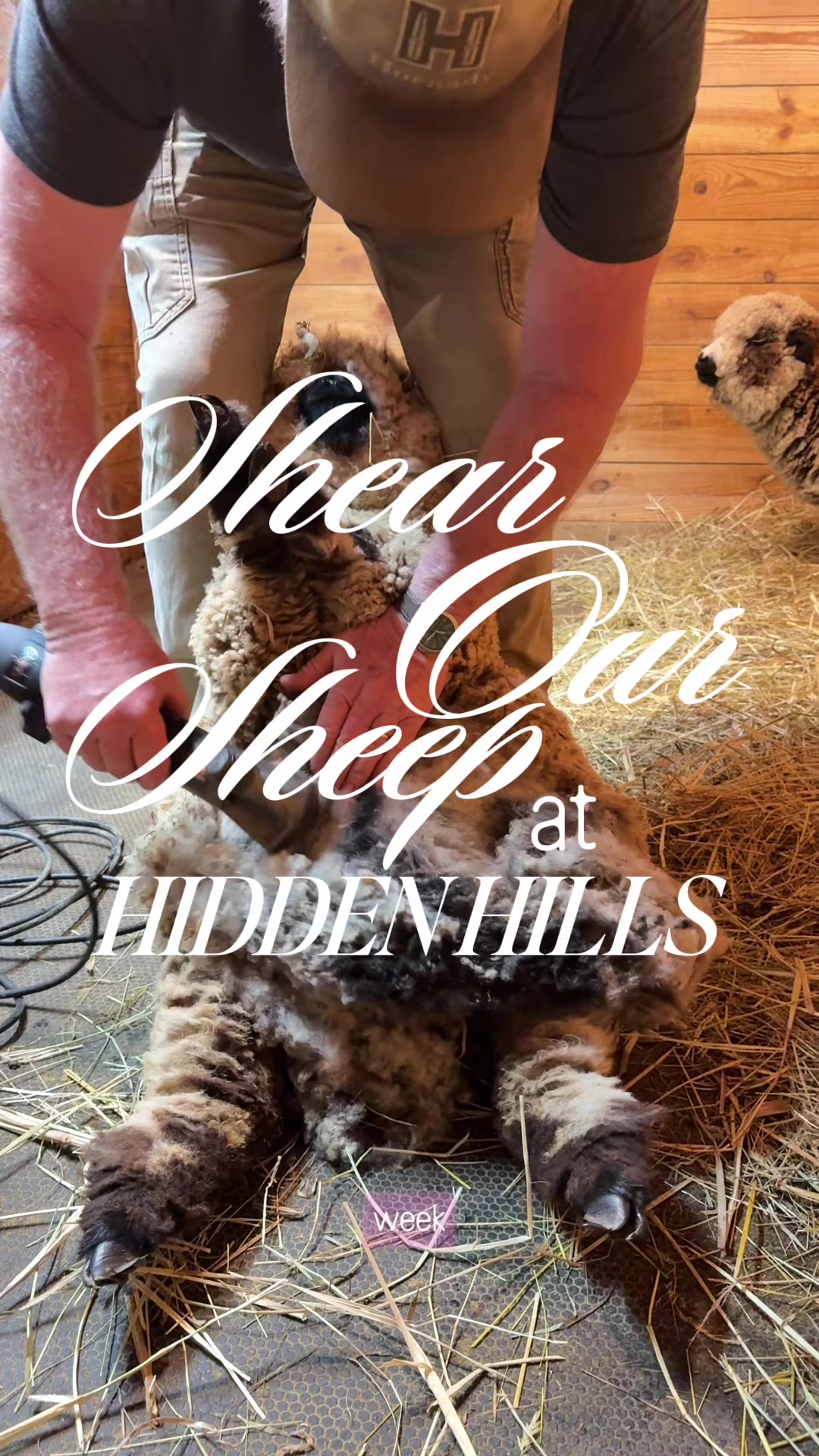 @hiddenhillsequestrian