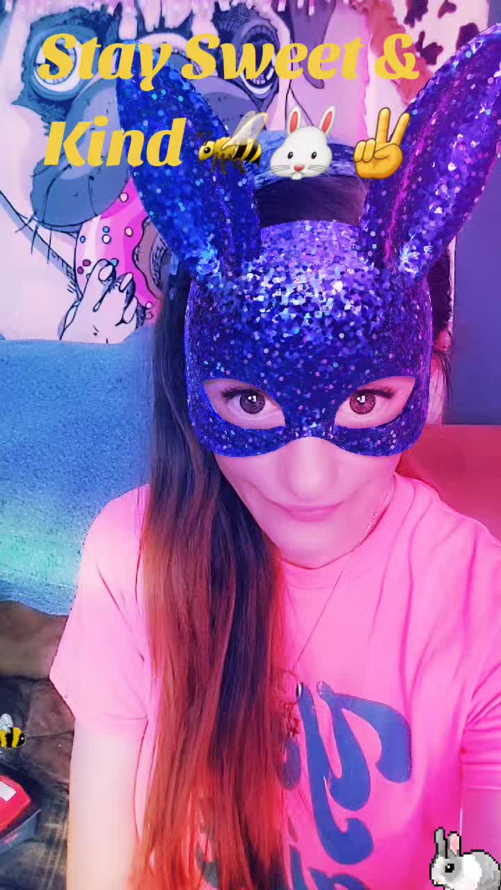 @amie bunny