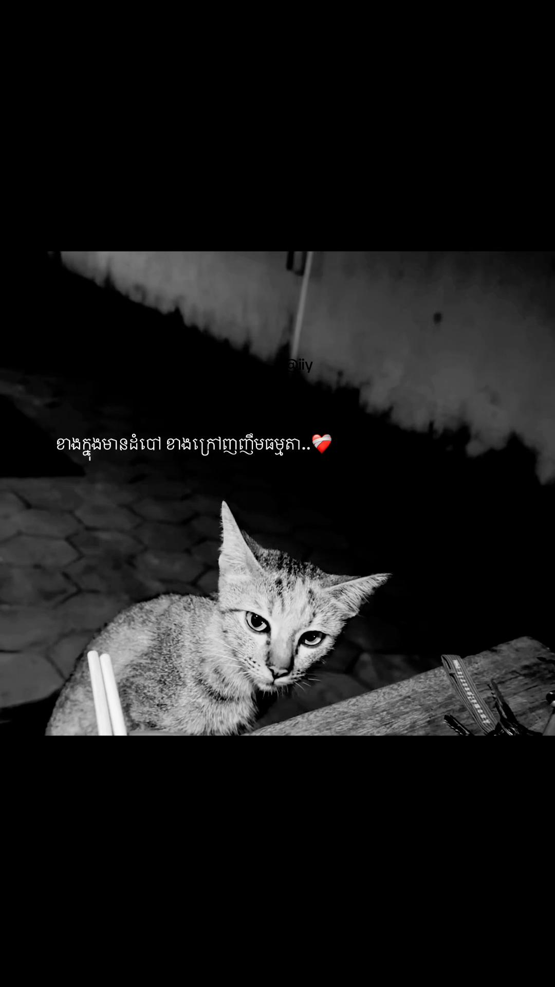 @iiy