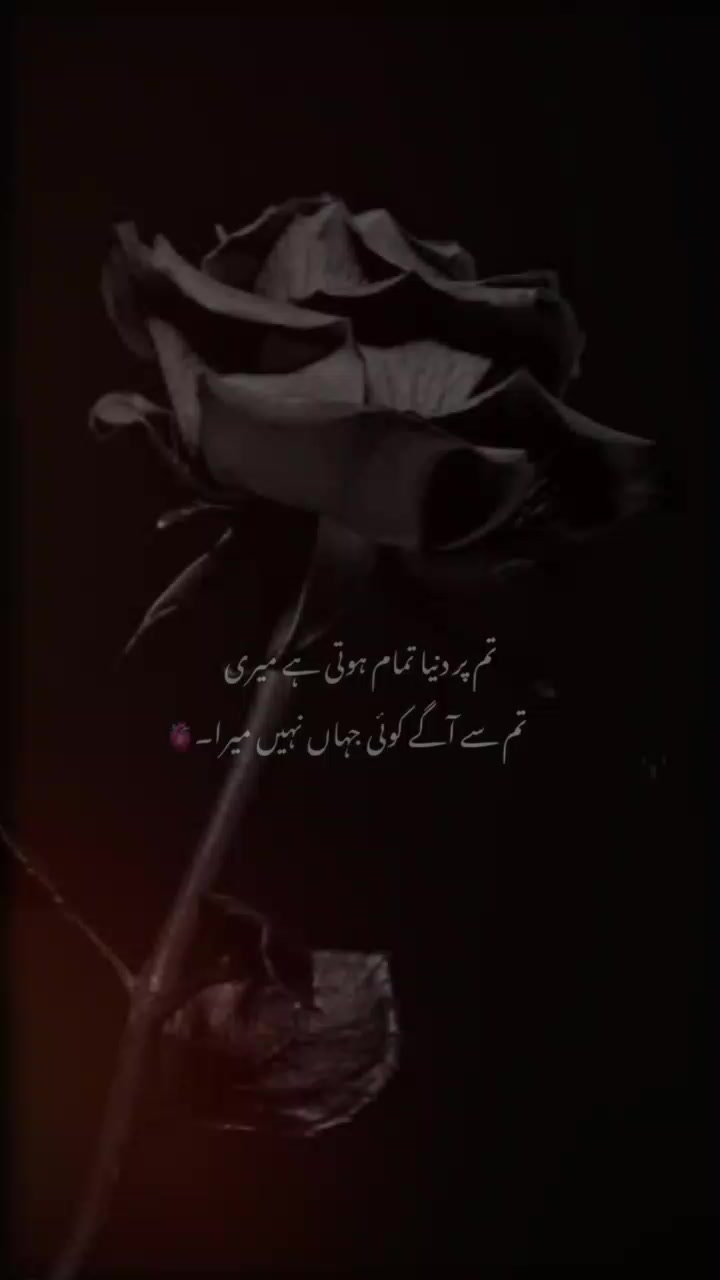 @Rameesha Fatima