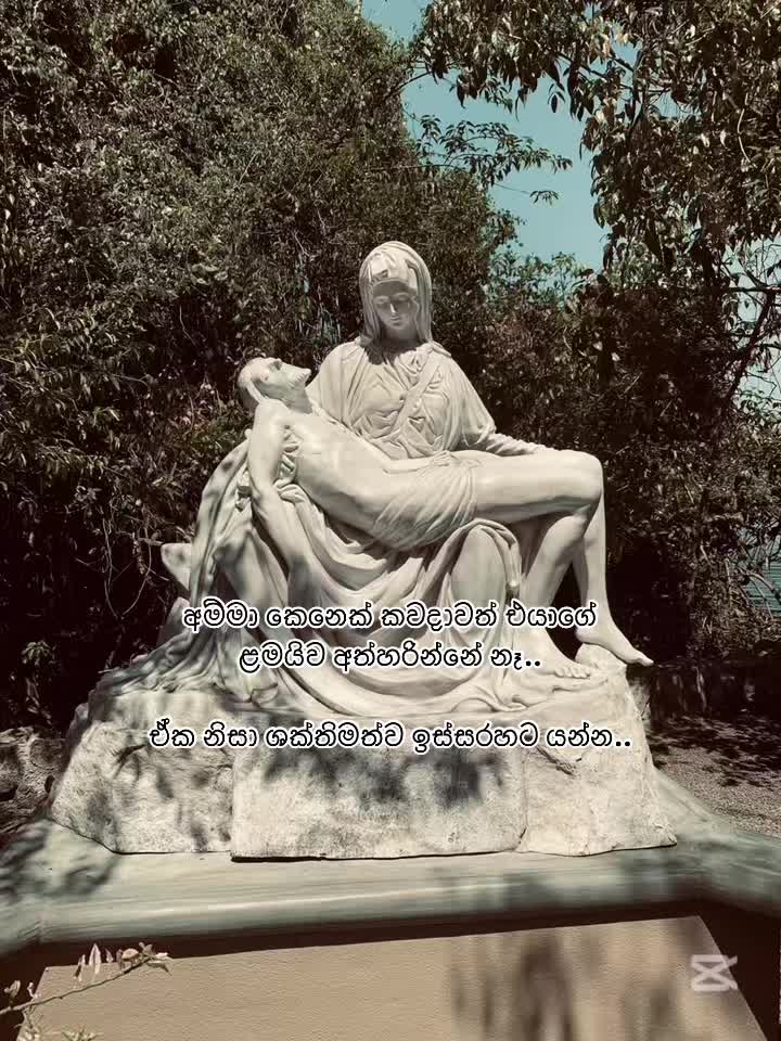 @ɴᴀᴛᴜʀᴇ ᴘʀᴏᴍɪsᴇs