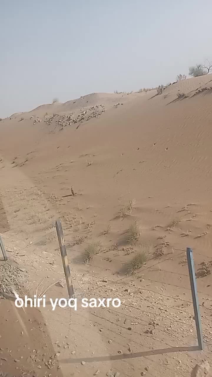 @Rasulullohumati