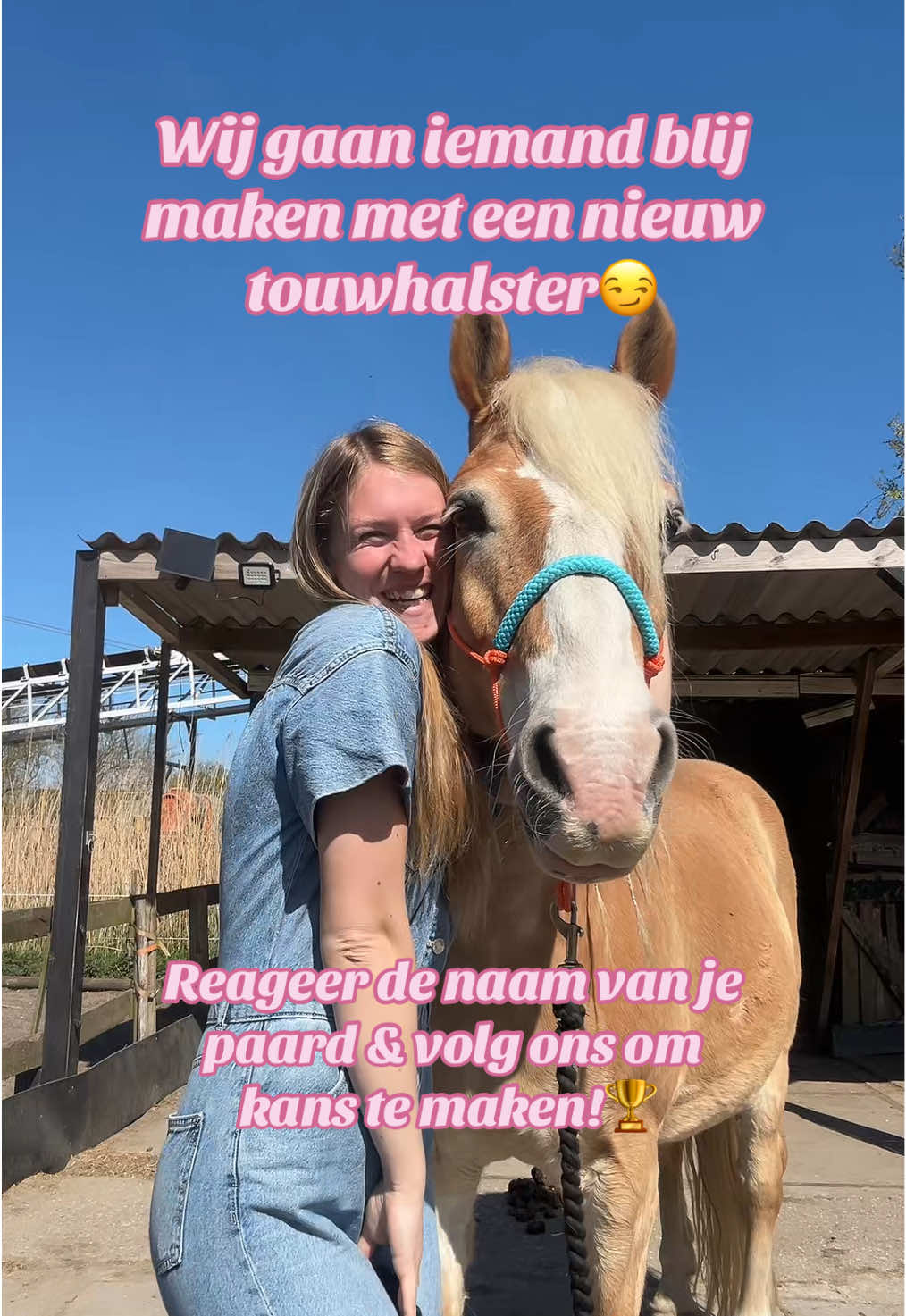 @horsecharms.com