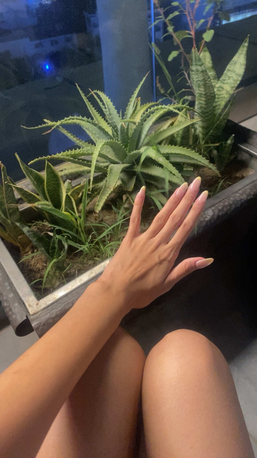 @𝑽𝒂𝒏𝒊🎀