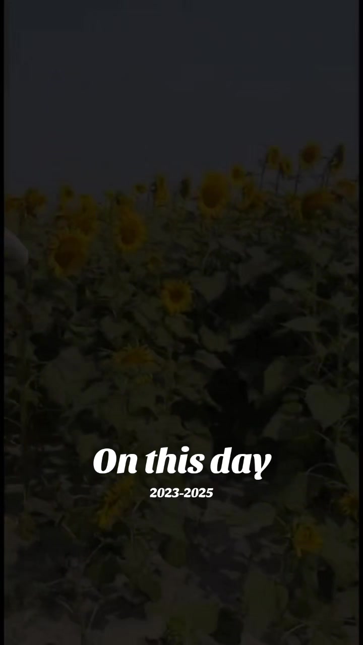 @life is beautiful film 💕😍😍