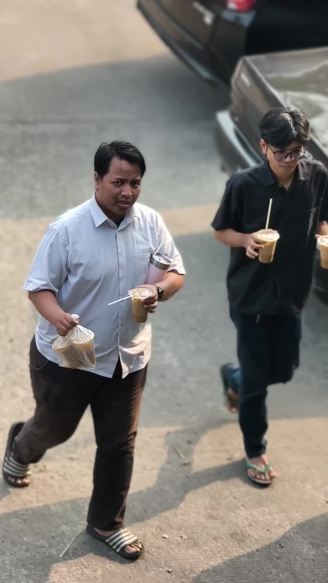 @pembasmi kecoa terbang