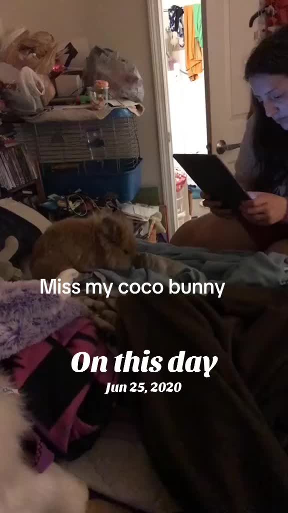 @☀️🧭 Cortney Gosselin🧭 ☀️