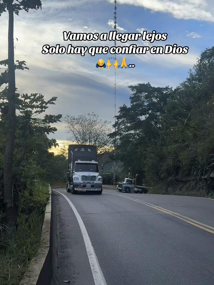 @la tribu hp