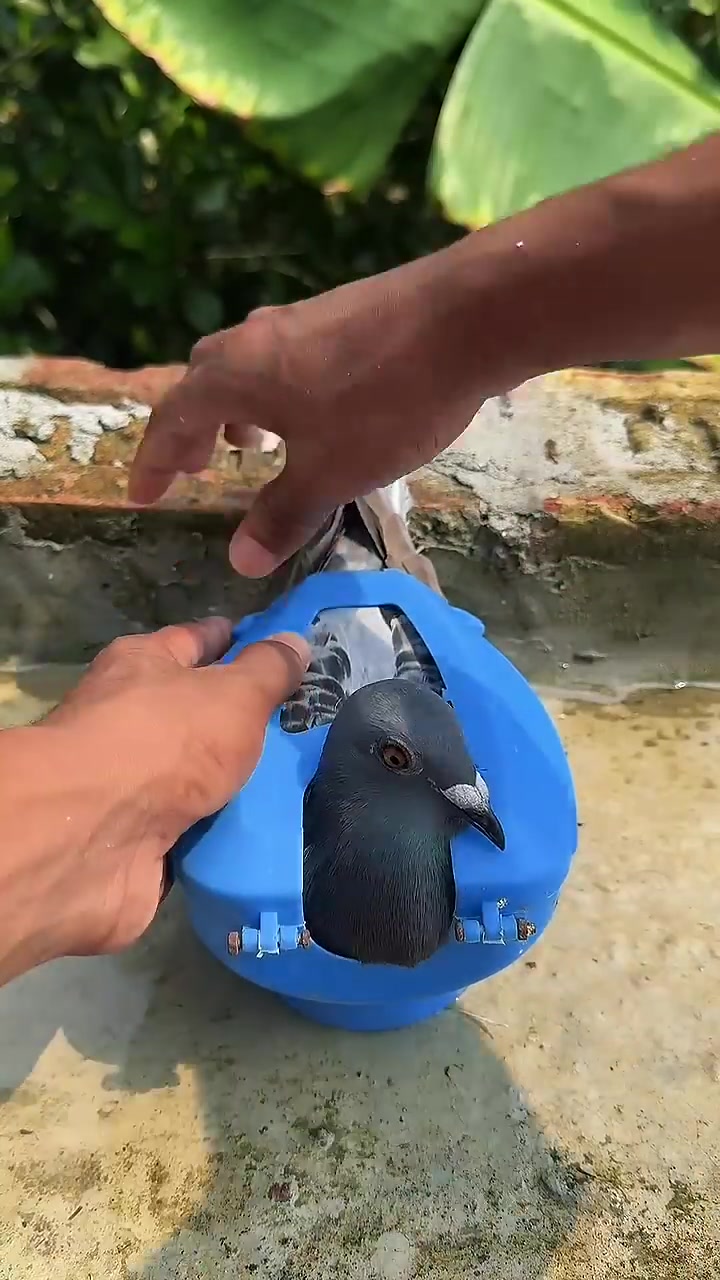 @Garrrryyy👻