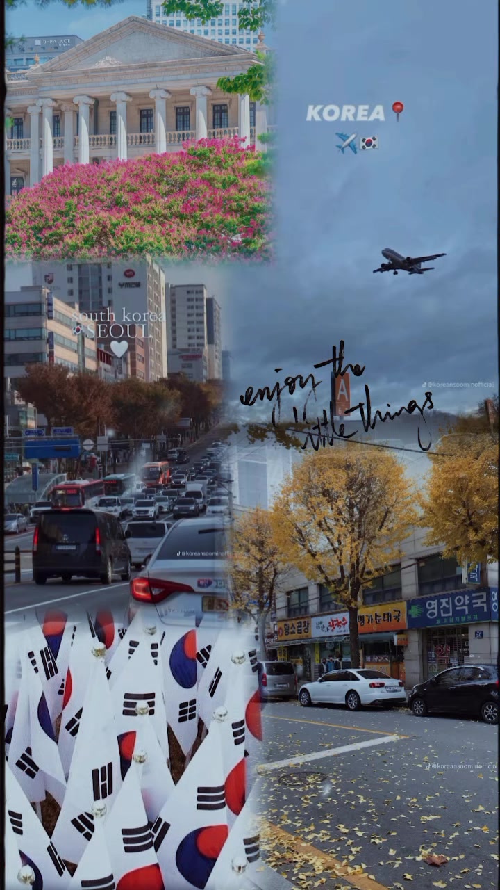 @🛩️SKYBOUND DREAMS🪻
