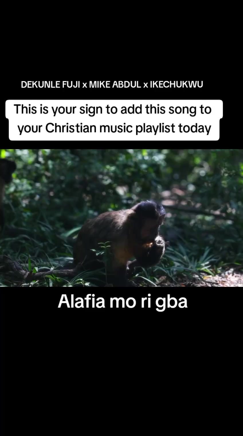 @Mrmoraks