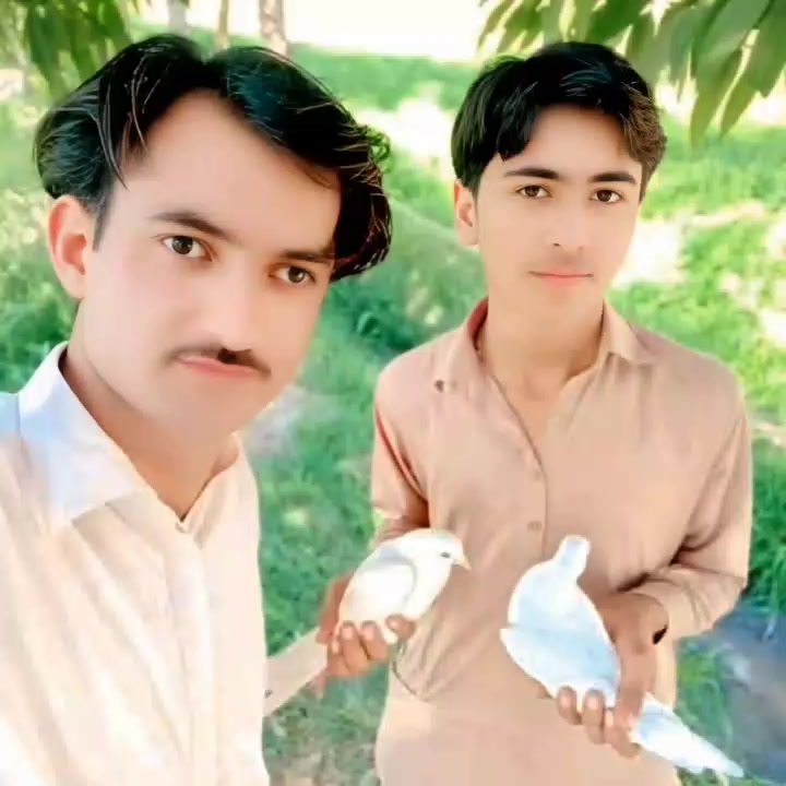 @Zarar Hussain