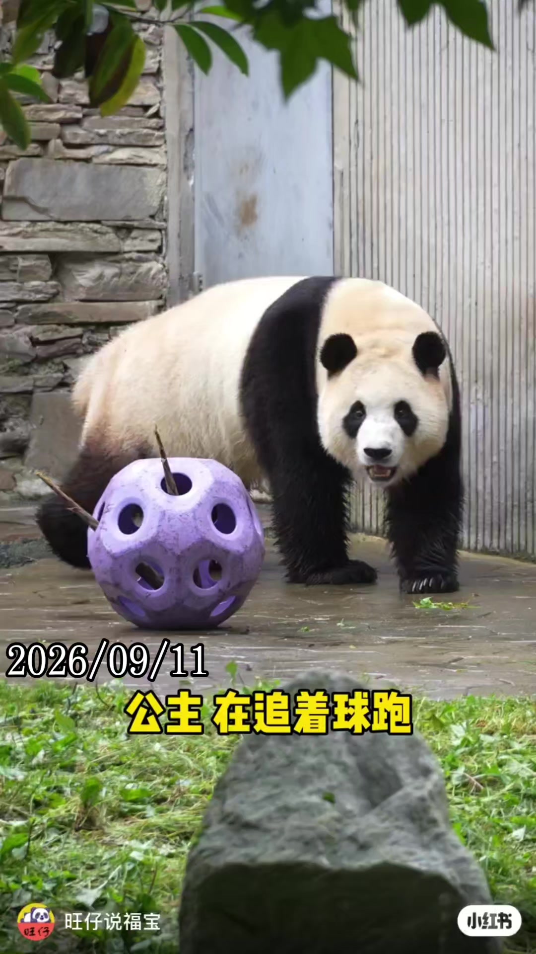 @福寶需要愛的抱抱