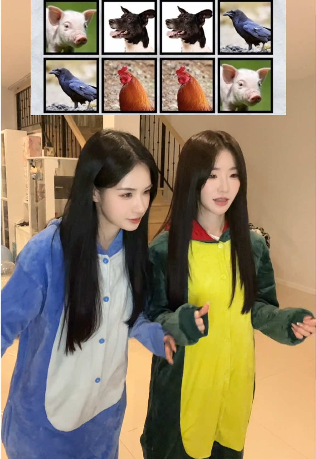 @🌻葵安Kuian🌻