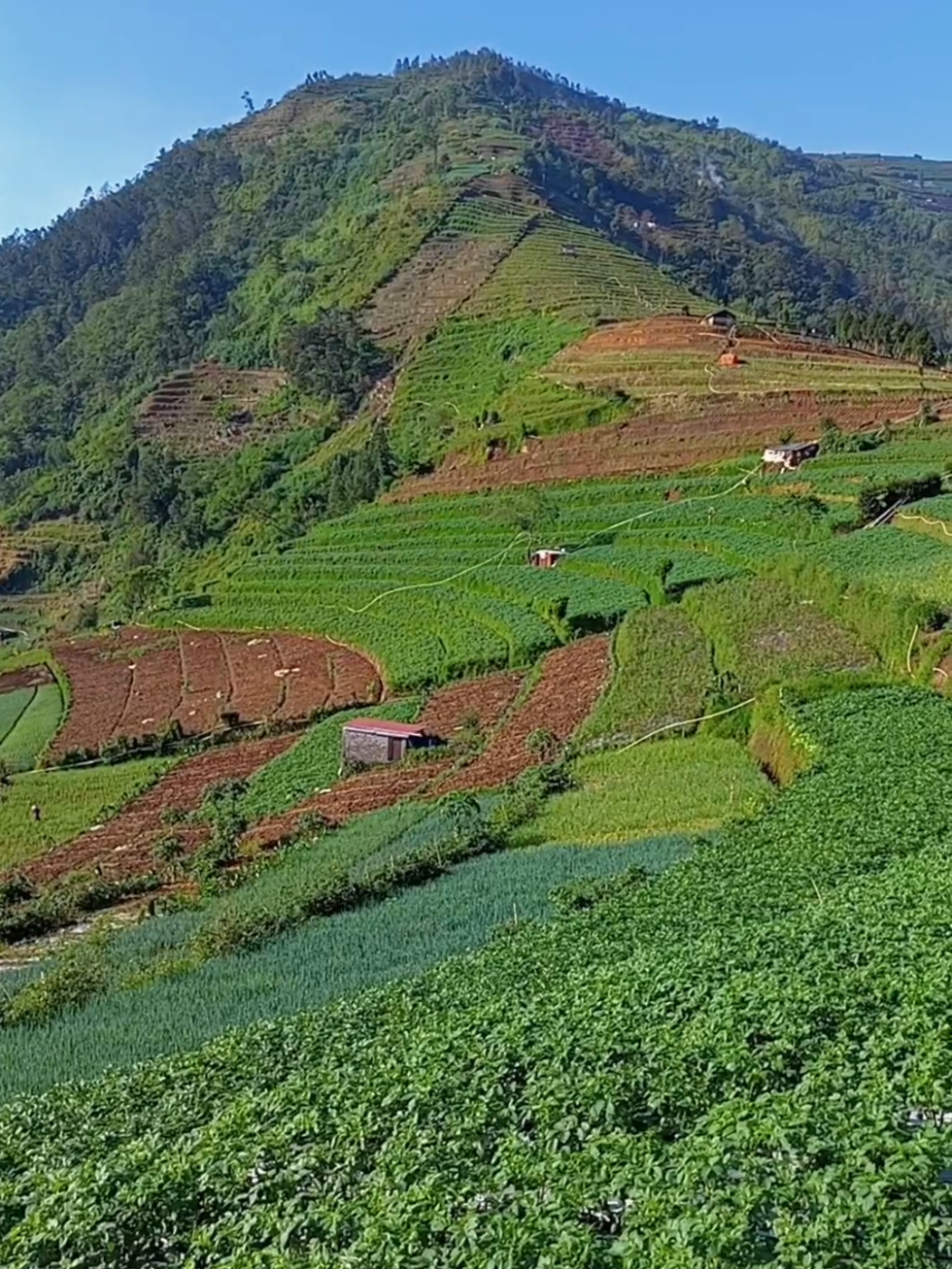 @jaka swara
