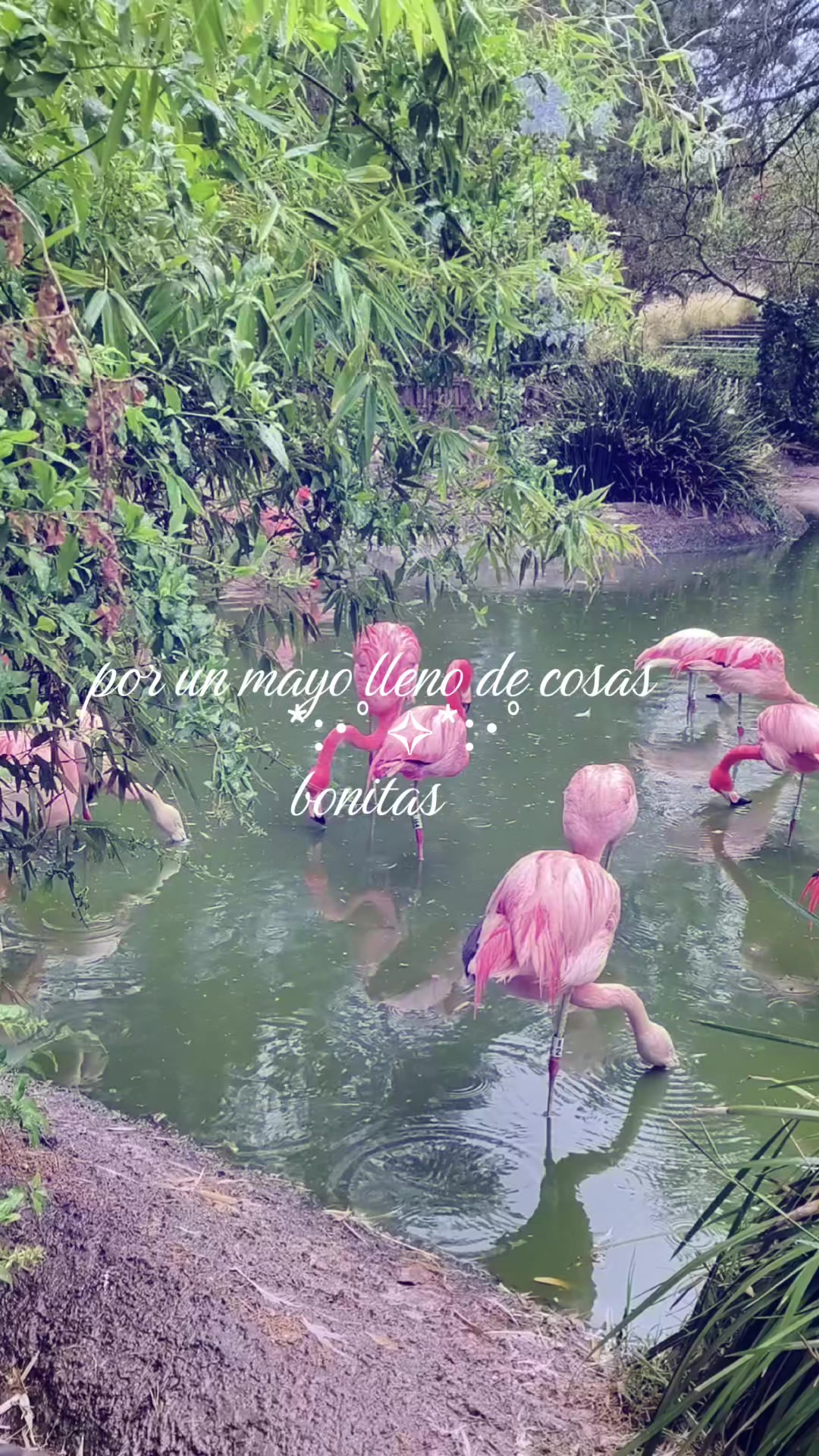 @lamaetacool ๐๐๏ธโ๏ธ๐งธโ๏ธ