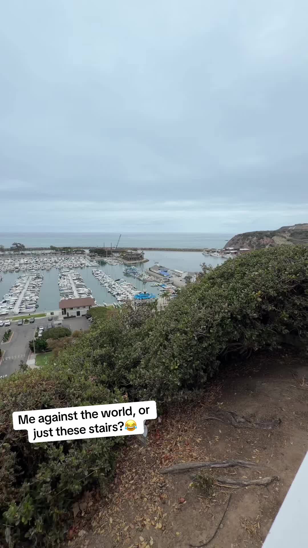 @maiski