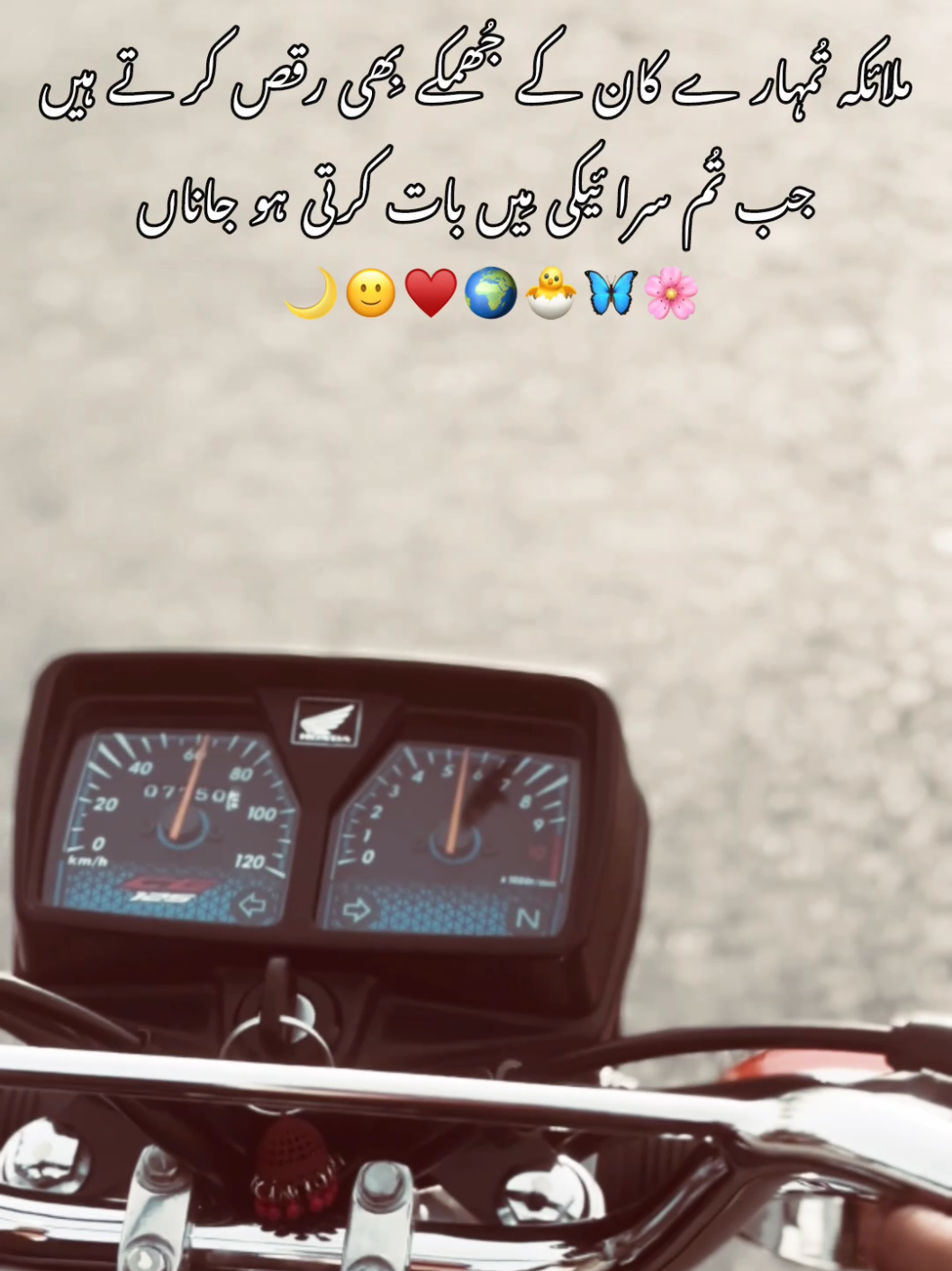 @𝐅𝐨𝐣𝐢 🚩