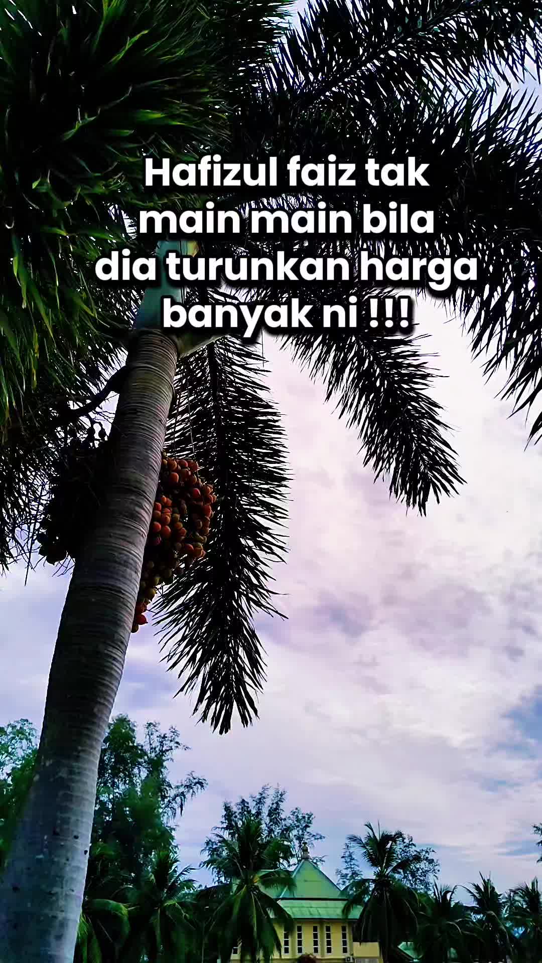 @Syarifah ๐