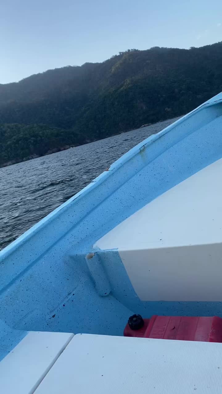 @EL BUSTAMANTE