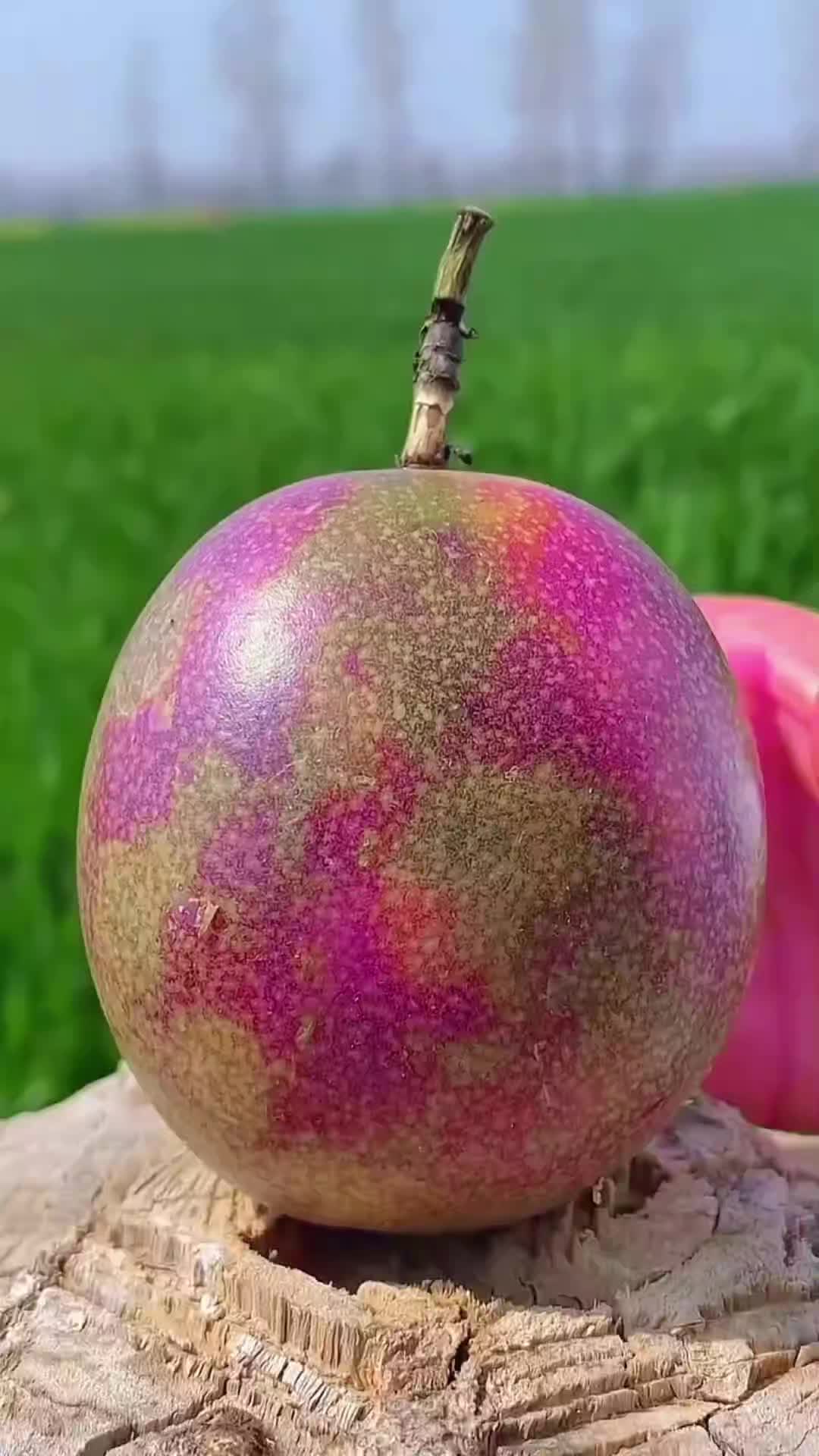 @Fruits🍑 Video