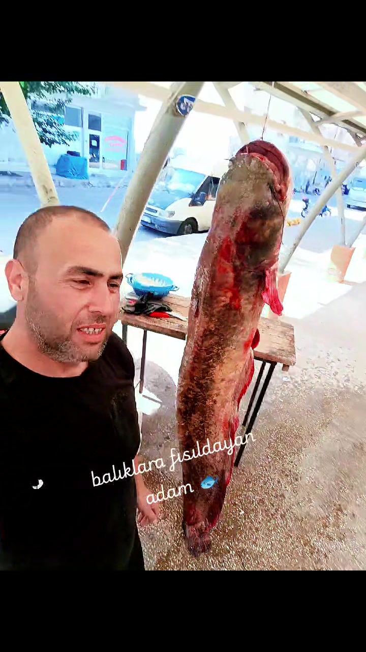 @Hasan Şahin