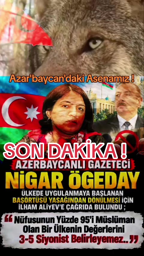 @🇹🇷🦈 Yavuz Ayık