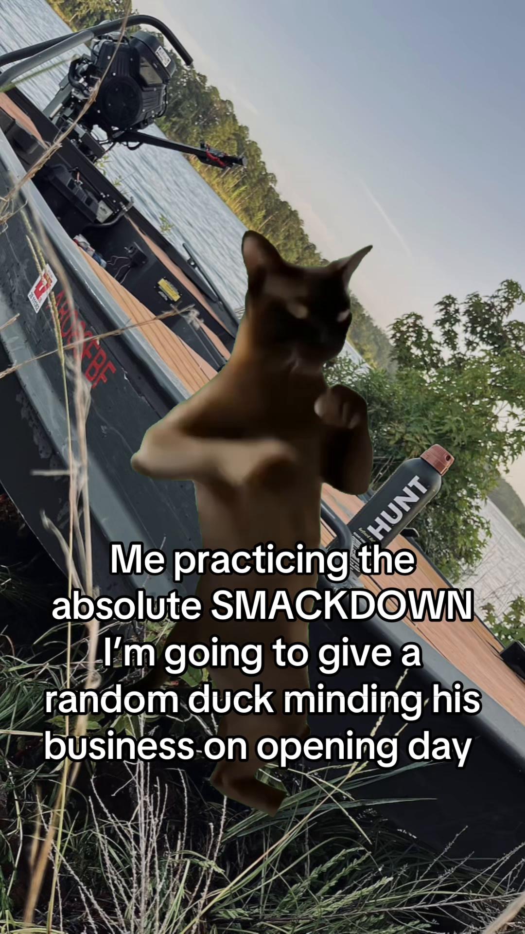 @American Mallard