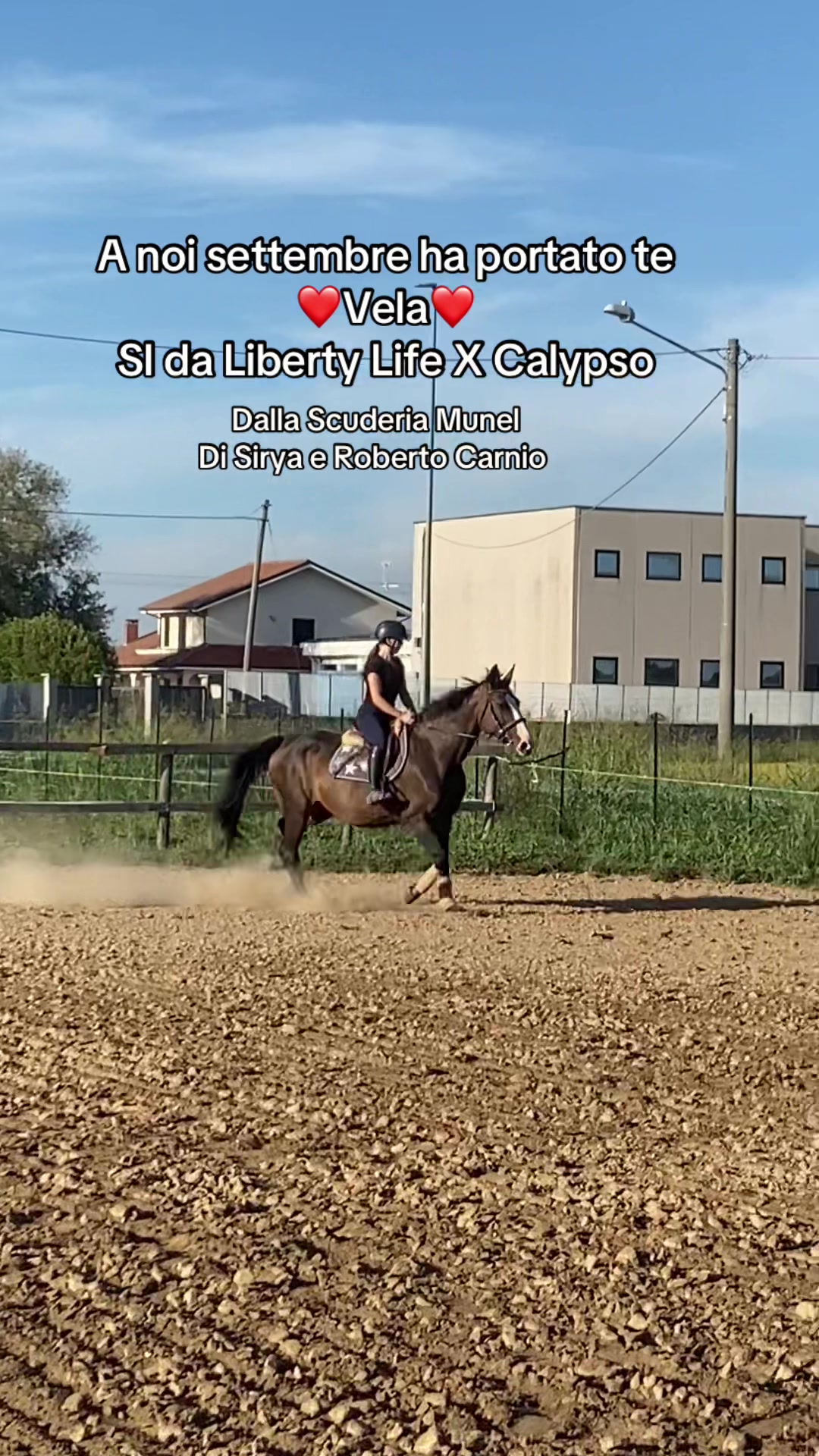 @Ponyclubilgattoelavolpe